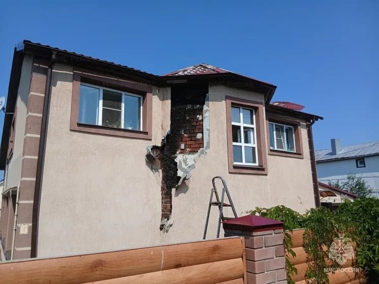 Житель Чебоксар устроил пожар и получил травму головы, пытаясь выжечь муравьёв огнём