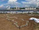 У чебоксарского Залива сажают розы: ко Дню России завершат цветочную карту России