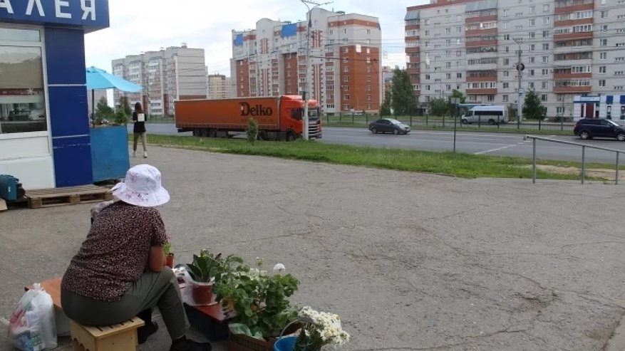 Главная картинка новости: В Чебоксарах женщины продавали овощи и цветы, используя доски с мусорных баков