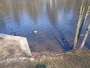 В Чебоксарах в пруду утонул мужчина, купавшийся в Пионерском пруду