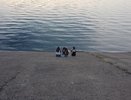 В День России на водоемах Чувашии утонули два человека