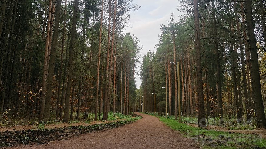 В Чувашии запланировали агротехнический уход на площади более 1600 гектаров