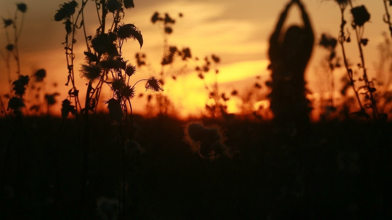 Главная картинка новости: Поднимутся на волне успеха и уже не остановятся: кому Павел Глоба предсказывает невозможное везение