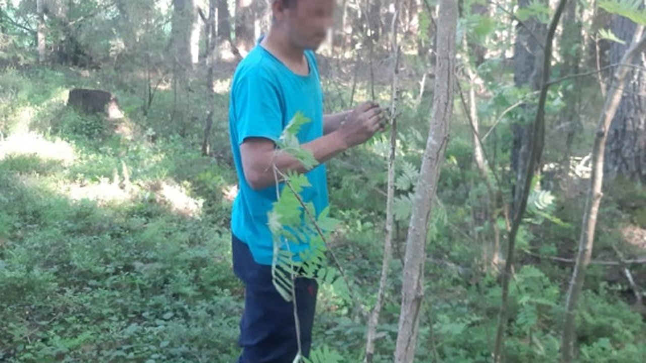 Главная картинка новости: В лесу Архангельской области нашелся босой житель Чувашии, который не помнил свое имя