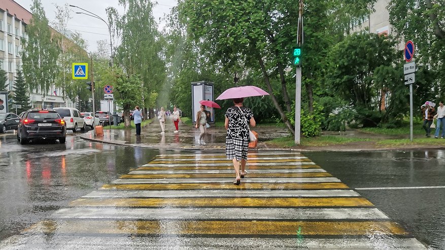 Главная картинка новости: Синоптики пообещали жителям Чувашии небольшой дождь и до +25 градусов 1 июля