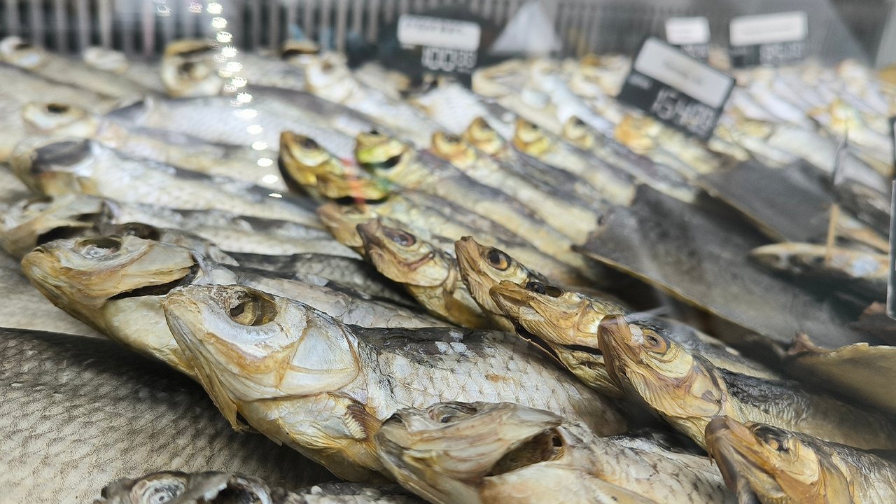 Главная картинка новости: Названа самая полезная рыба для человека: богата селеном, фосфором и йодом