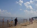 Чебоксарцы продолжают купаться в опасных местах Волги, игнорируя запрещающие знаки