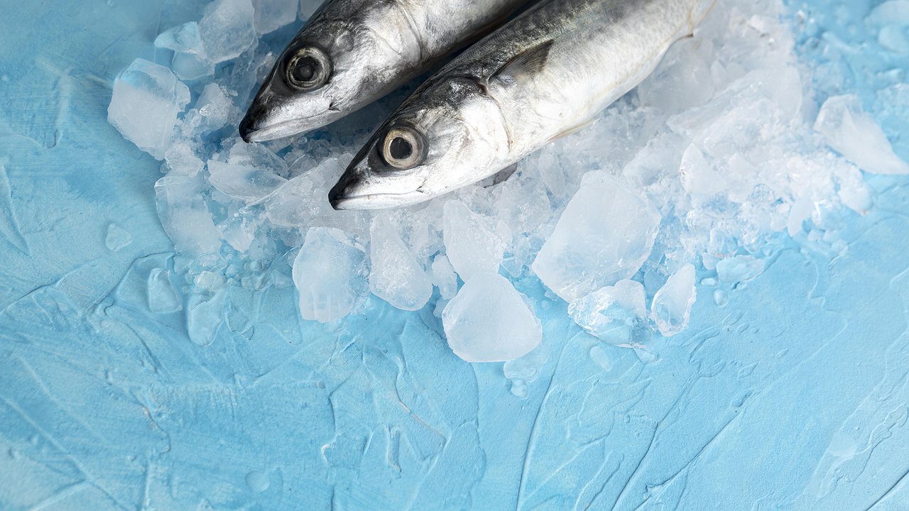 Главная картинка новости: Рыба, которую вообще нельзя подавать к столу: подстерегают паразиты, а мы едим еще и детям даем