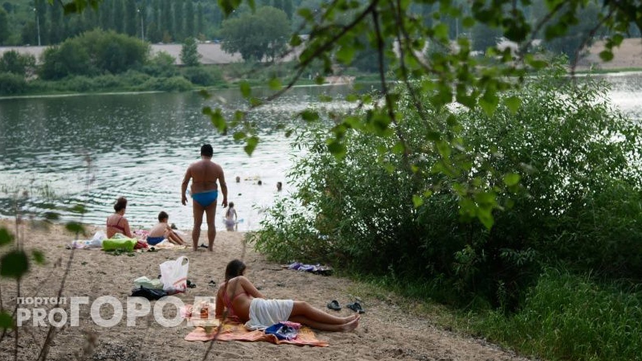 Главная картинка новости: Метеорологи рассказали, когда закончится адская жара: новый прогноз