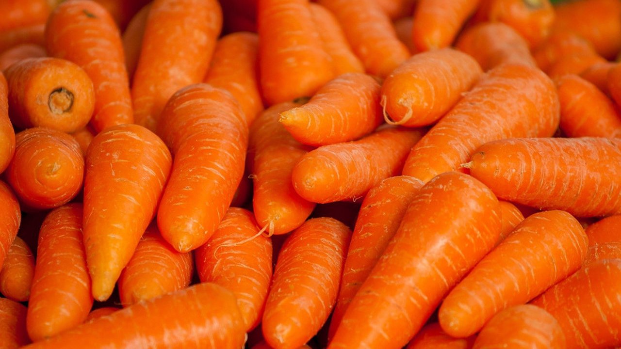 Главная картинка новости: Морковь сразу пойдёт в рост: в начале июля полейте грядку этим раствором — богатейший урожай