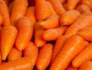 Морковь сразу пойдёт в рост: в начале июля полейте грядку этим раствором — богатейший урожай