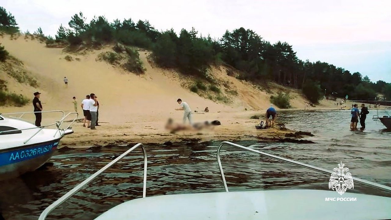 Главная картинка новости: В Заволжье спасатели обнаружили тела двух утонувших студентов