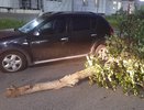 В Новоюжке водитель «Рено Сандеро» влетел сразу в два авто, дерево и скрылся с места аварии