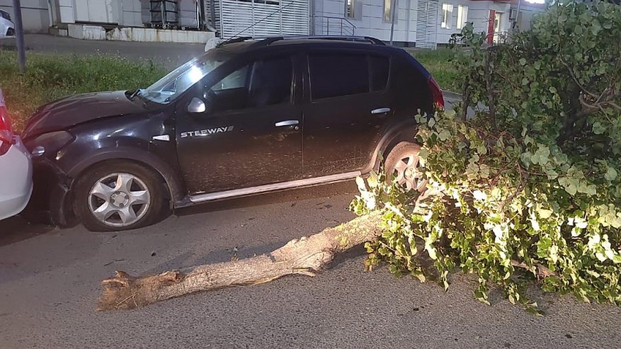 Главная картинка новости: В Новоюжке водитель «Рено Сандеро» влетел сразу в два авто, дерево и скрылся с места аварии