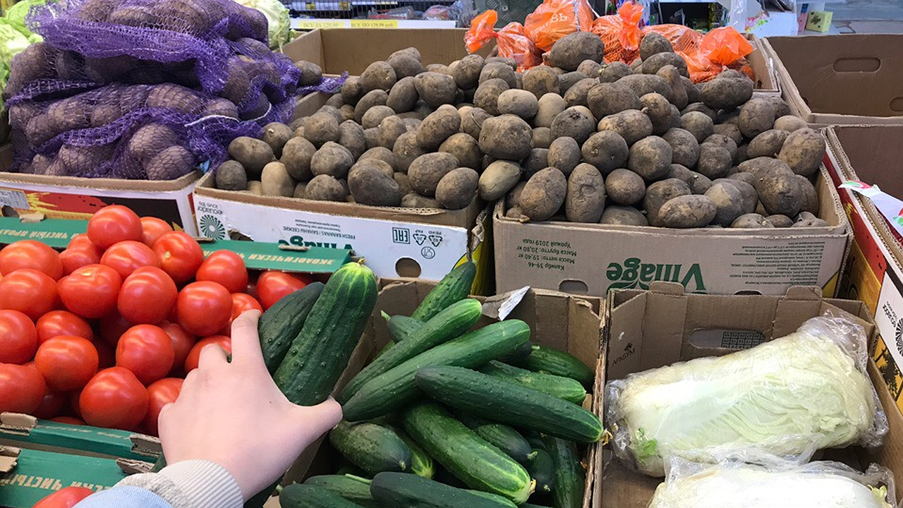 Главная картинка новости: Легчайший рецепт малосольных огурцов: залейте их минералкой - узнаете, что будет