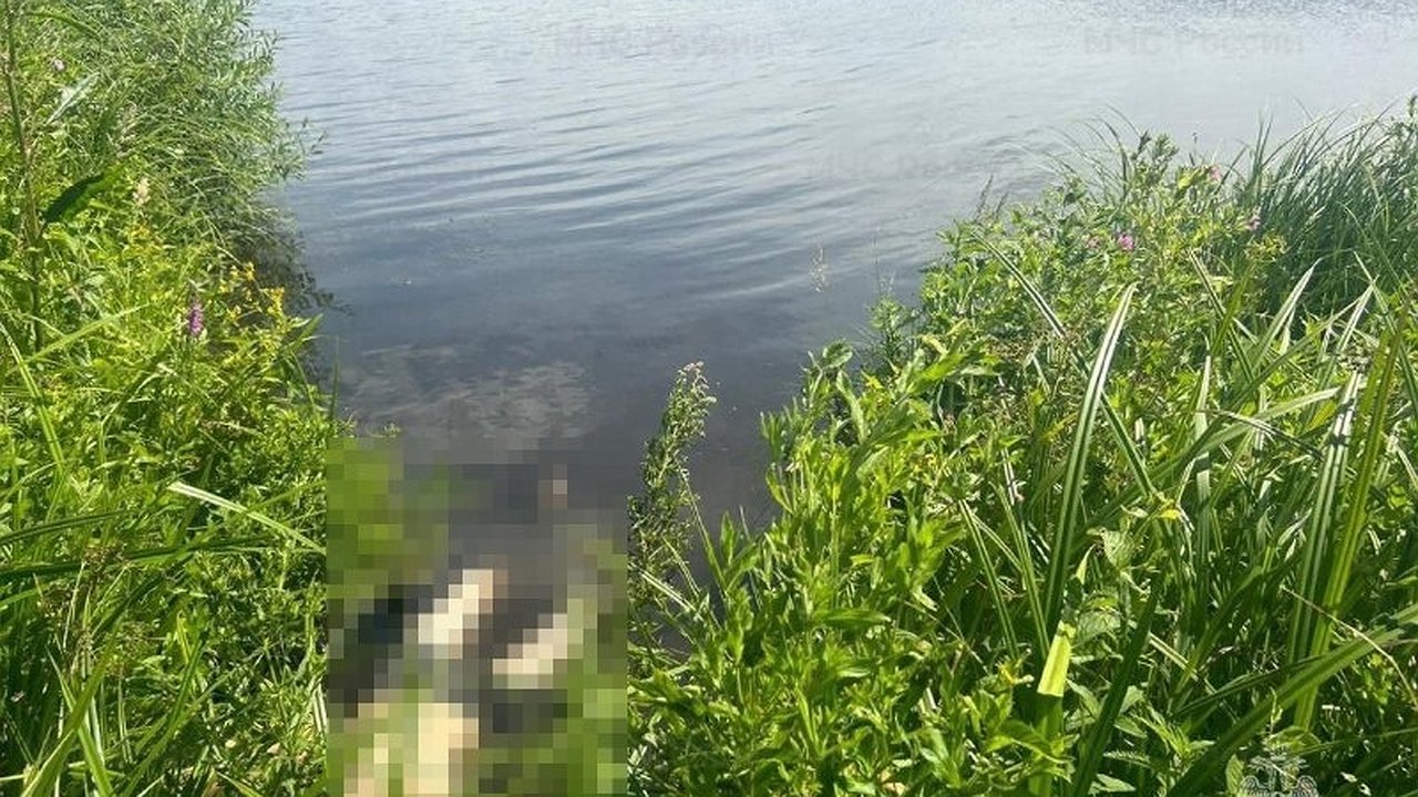 Главная картинка новости: Мать четверых детей утонула в пруду Ядринского района