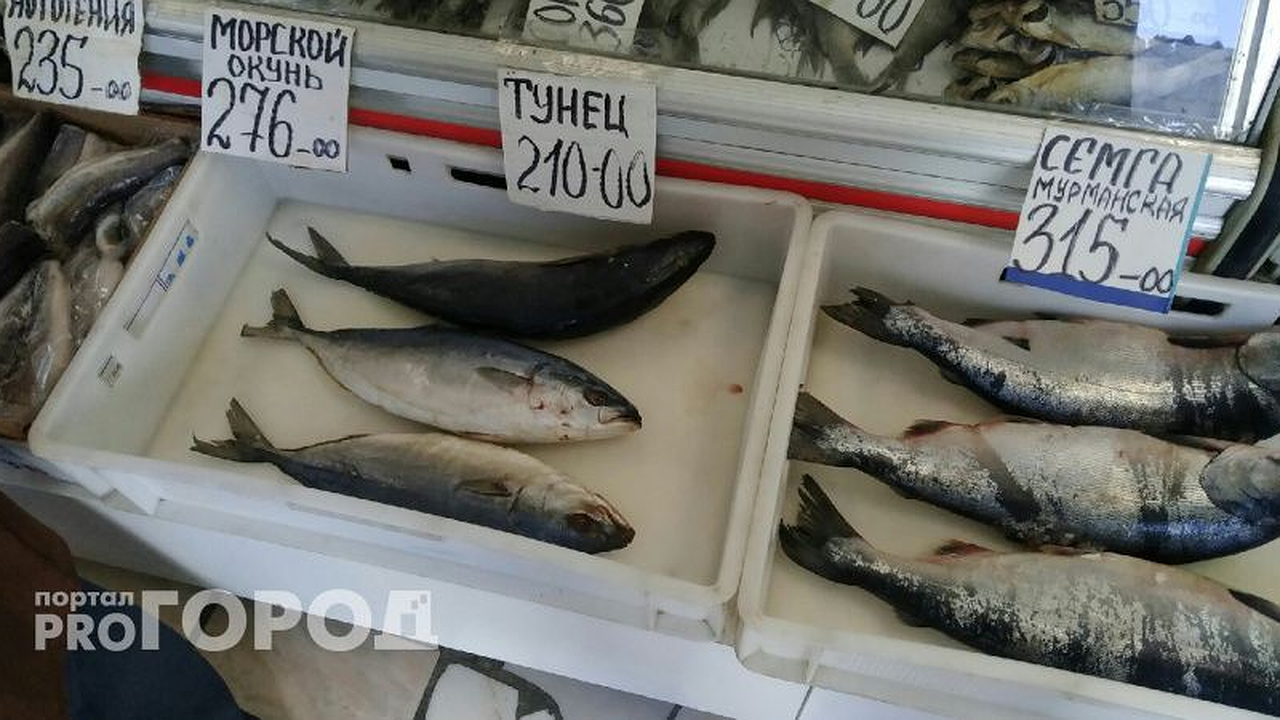 Главная картинка новости: Названа самая полезная для человека рыба - ешьте 2 раза в неделю, богата цинком и омега-6