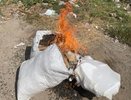 В Чувашии уничтожили 102 кг семечек сомнительного происхождения
