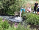 В Батыревском округе потекли "молочные реки"