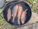 Заядлые чебоксарские рыбаки рассказали, как быстро и вкусно закоптить, пожарить рыбу