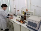 С начала года в Чувашии уничтожили десятки тонн испорченных и гнилых продуктов