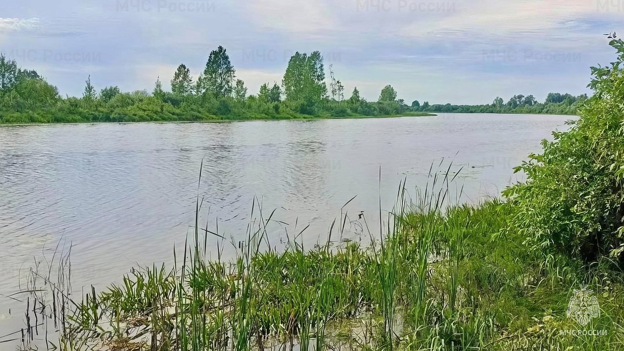 Главная картинка новости: В Чувашии спасатели ищут в пруду тело женщины, катавшейся на лодке и упавшей в воду