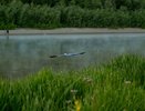 Небольшой дождь и до +22 градусов пообещали синоптики в Чувашии в понедельник