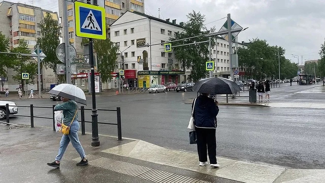 Главная картинка новости: В среду синоптики спрогнозировали жителям Чувашии туманную погоду с дождем