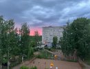 В Чувашии ядовитая змея заползла во двор, где находились дети