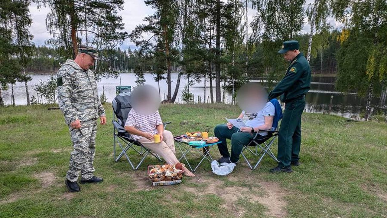 Главная картинка новости: В Заволжье оштрафовали на полсотни тысяч рублей компанию, жарившую шашлыки