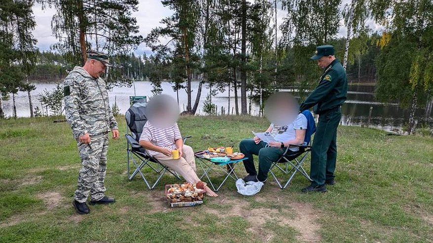 В Заволжье оштрафовали на полсотни тысяч рублей компанию, жарившую шашлыки