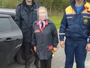 В Чувашии бабушка пошла за грибами в лес и заблудилась