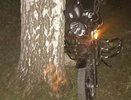 В Алатыре семиклассник на мопеде влетел в иномарку