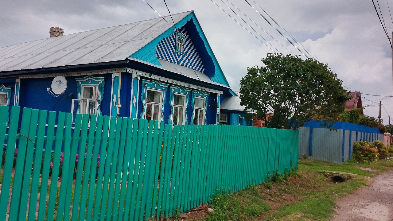 Главная картинка новости: В одной из деревень Чувашии алабай покусал ребенка