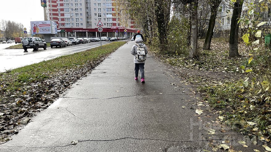 Доля региональных дорог опорной сети в нормативном состоянии будет выше 70% к концу года