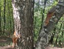 10 сентября в Чувашии будет по-летнему тепло