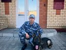 В Чебоксарах служебная овчарка по имени Порш-Кайен помогла раскрыть кражу велосипеда за 43 тысячи