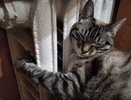 В Чебоксарах объявили о технической готовности к пуску тепла