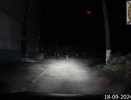 16-летнего пьяного водителя без прав задержали в Новочебоксарске