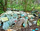В лесу Чувашии обнаружили свалку на площади около 15 квадратных метров