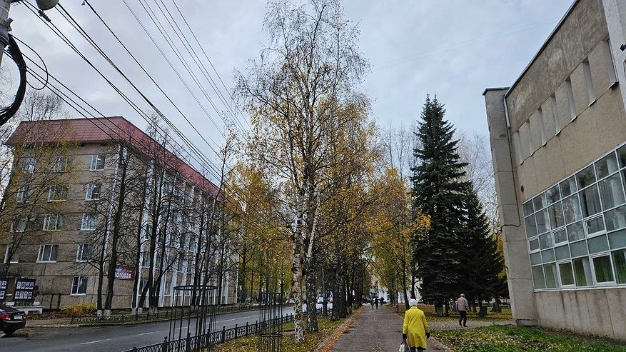 Главная картинка новости: Гороскоп на 27 сентября: Овнам нужно расслабиться, а Весы могут ожидать приятные сюрпризы