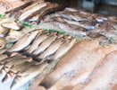 В Чувашии ветеринарные документы оформлены лишь на треть объема добытой рыбы