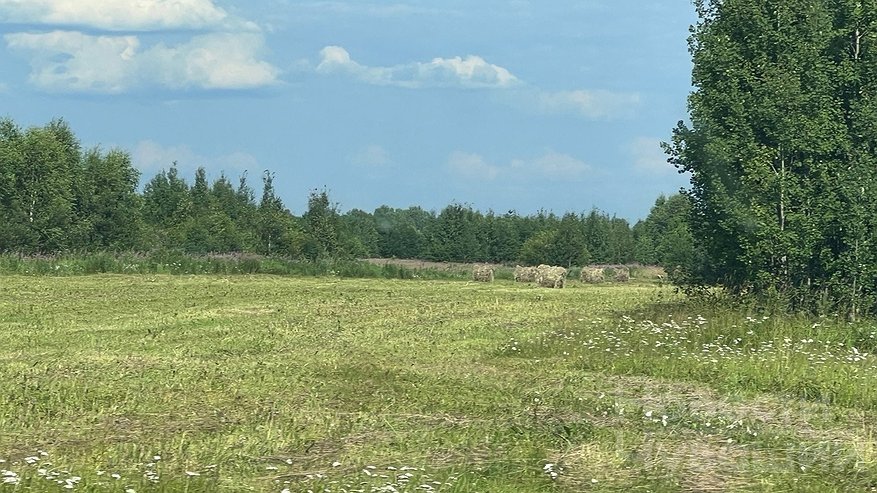 Погода в Чувашии на это воскресенье