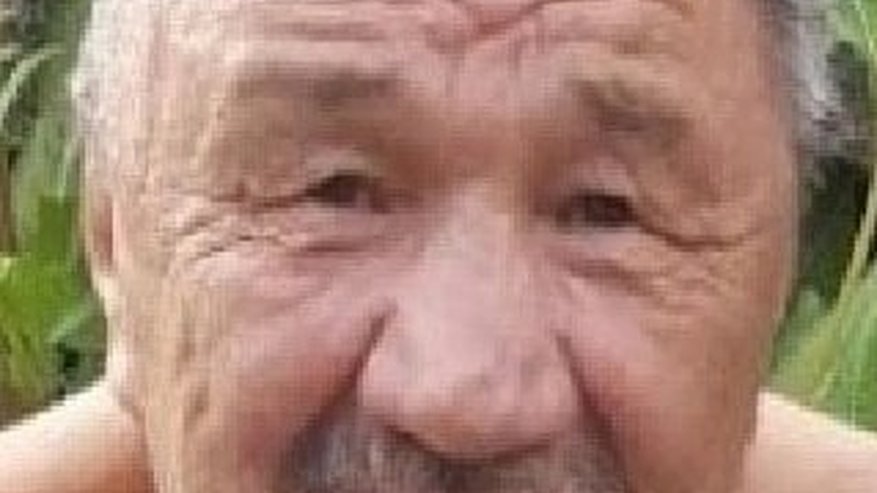 Главная картинка новости: В Чувашии пропал седоволосый пенсионер в черной жилетке