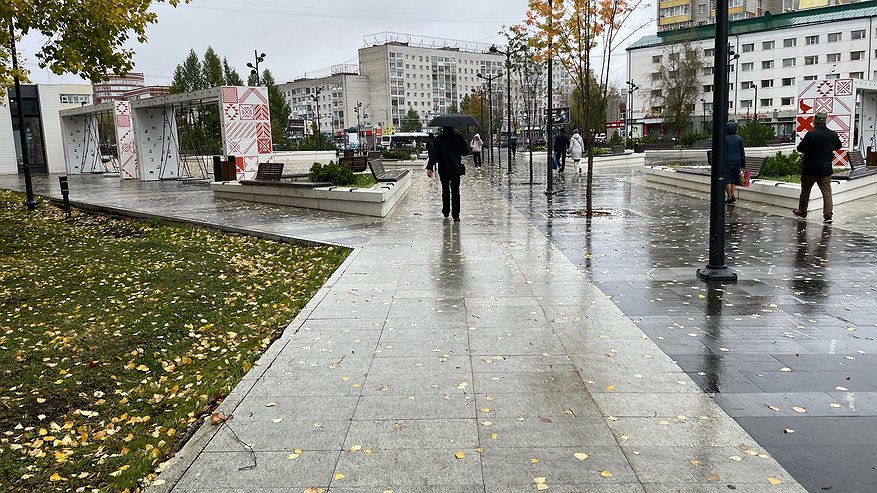 Главная картинка новости: Синоптики рассказали, какой будет погода в Чувашии 4 октября