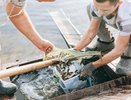 «Химпром» выпустил в Волгу 50 тысяч мальков толстолобика
