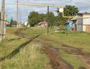В Ядринском округе Чувашии объявили карантин из-за бешенства