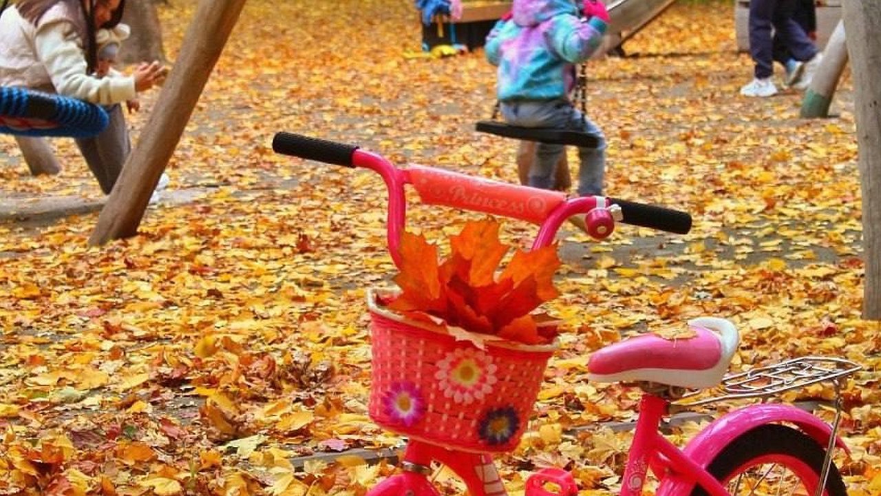 Главная картинка новости: В Чувашии в субботу ожидается небольшой дождь и до +8°С