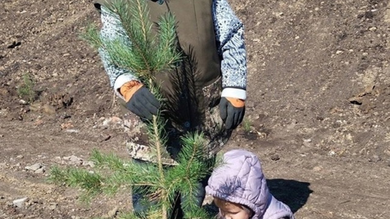 Главная картинка новости: Жители Чебоксарского округа приняли участие в акции "Посади дерево"