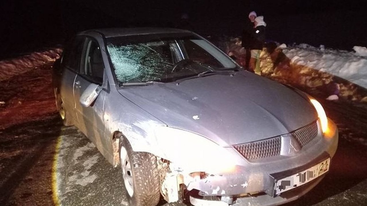 Главная картинка новости: Смертельное ДТП в Чувашии: отец четверых детей получает шесть лет за трагедию со скандинавскими ходоками